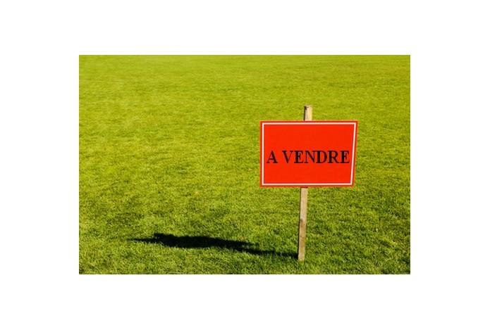 Une vente sur Leboncoin pour garder Ochoa