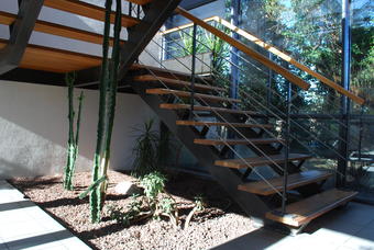 Réussir un jardin d'intérieur