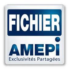 Fichier Amepi Hérault : une base de données des biens vendus