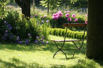 Arroser son jardin en économisant l’eau