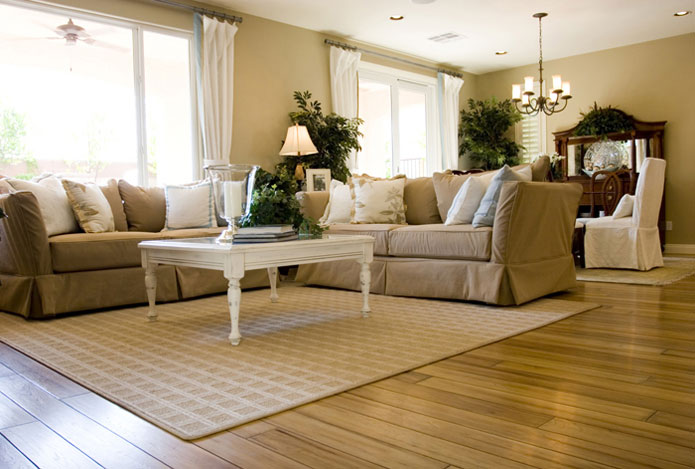 Aménagement parfait pour un salon
