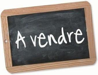 Conseils pour rédiger son annonce de vente immobilière