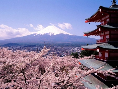 Des terrains à 1,2 euro le mètre carré au Japon