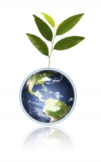 Efficacité énergétique : les solutions à adopter