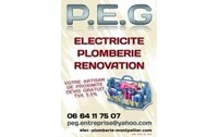P.E.G 