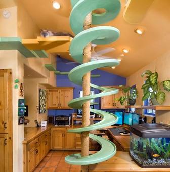 Insolite : il transforme sa maison pour accueillir ses 18 chats