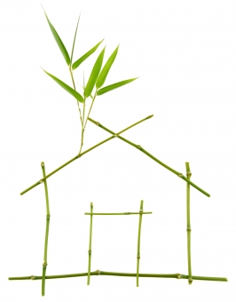 Le rendement des bureaux verts en plein boom